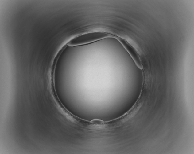 X0000111161134200907071124