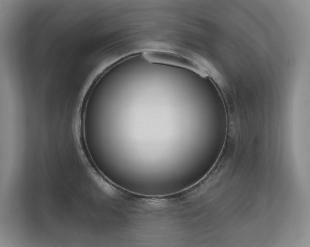 X0000111161136200907071124