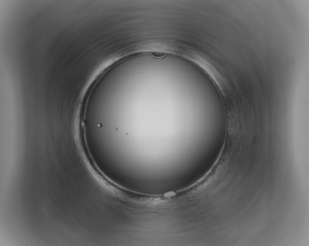X0000111161139200907071124