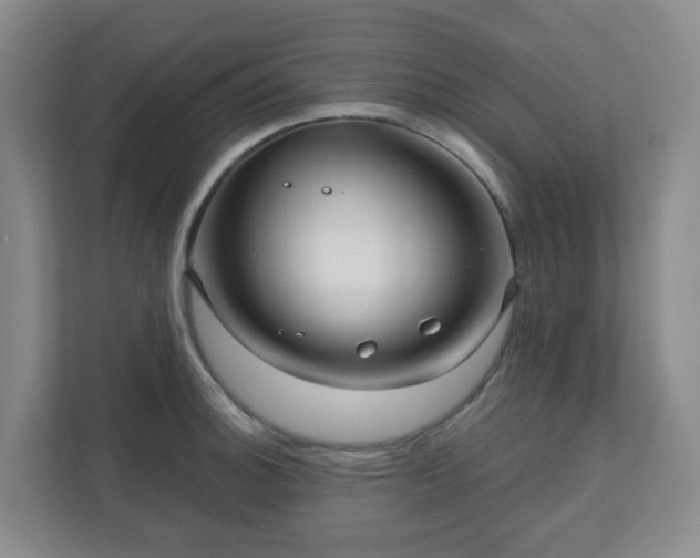 X0000111161140200907071124