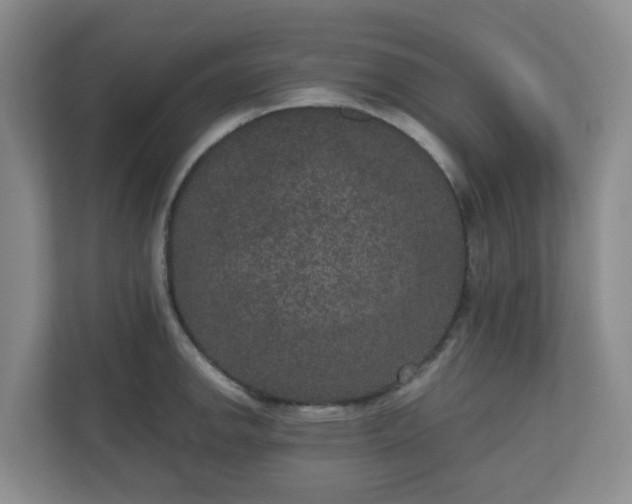 X0000111161142200907071124
