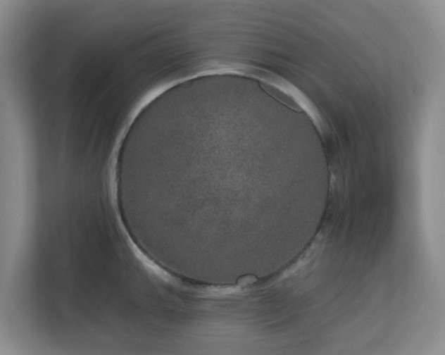 X0000111161143200907071124