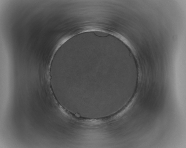 X0000111161145200907071124