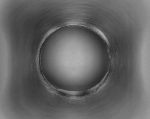 X0000111161146200907071124