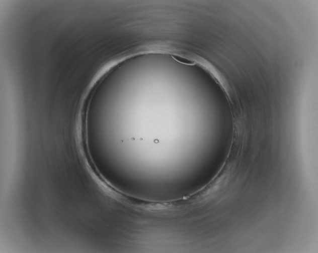 X0000111161147200907071124