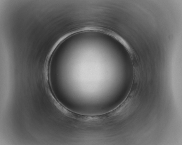 X0000111161148200907071124