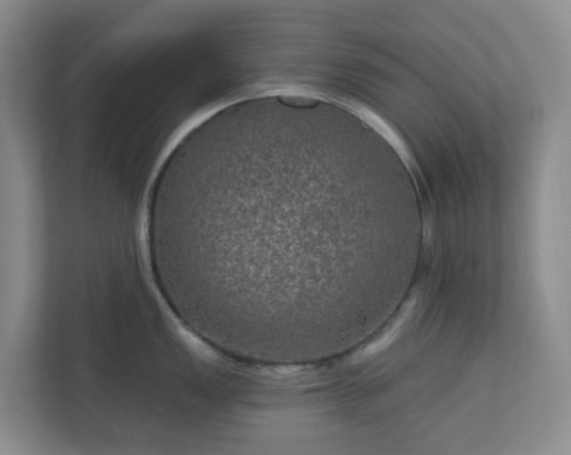 X0000111161149200907071124
