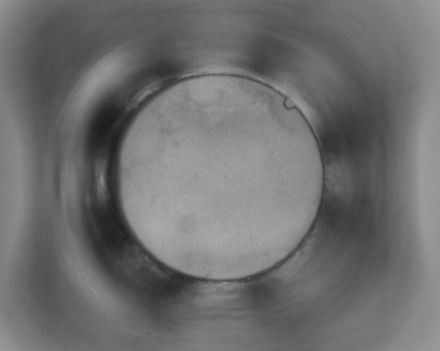 X0000111161150200907071124