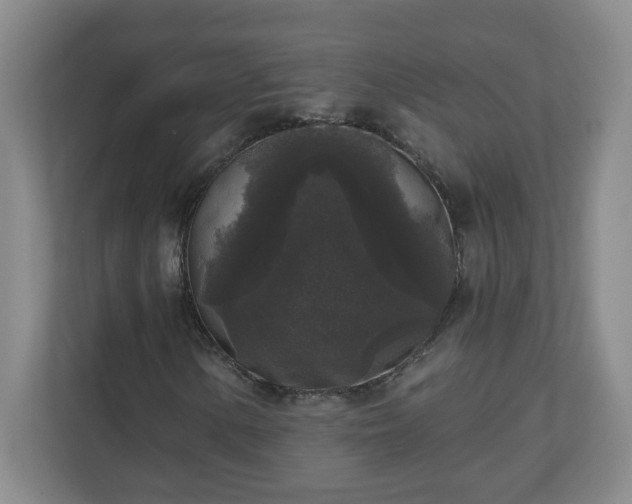 X0000111161154200907071123