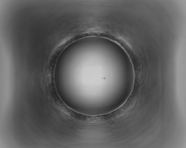 X0000111161159200907071123