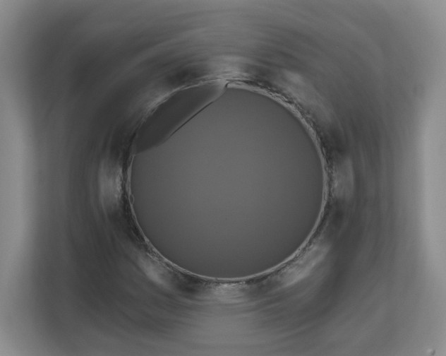 X0000111161161200907071123