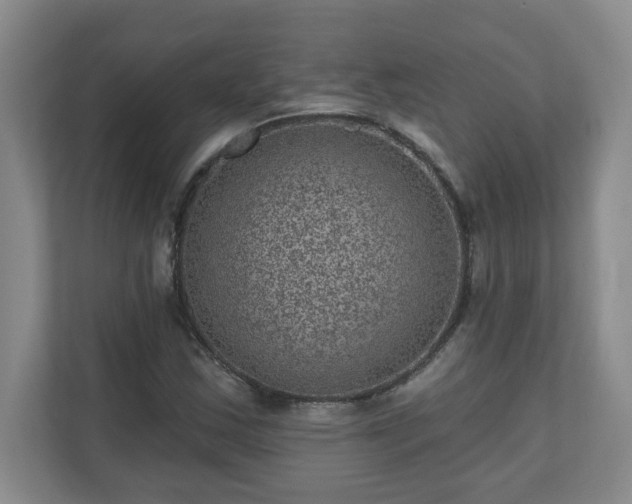 X0000111161163200907071123