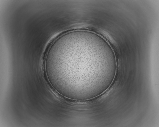 X0000111161164200907071123