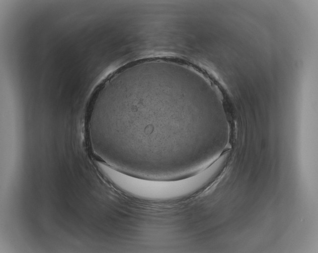 X0000111161165200907071123