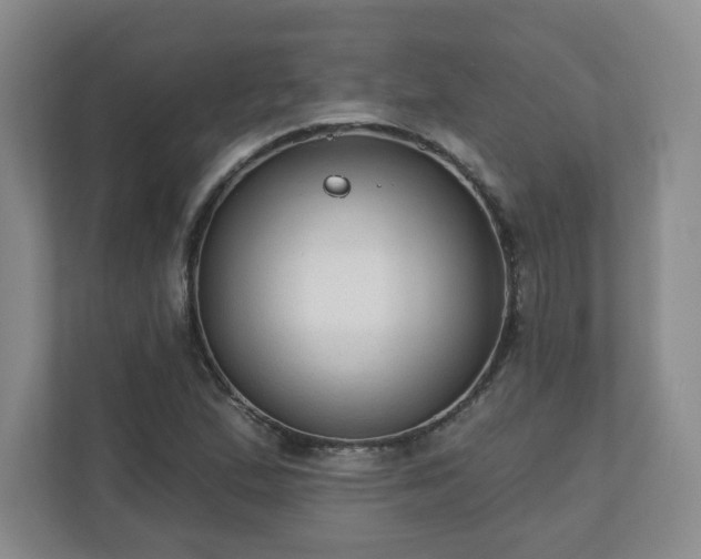 X0000111161167200907071123