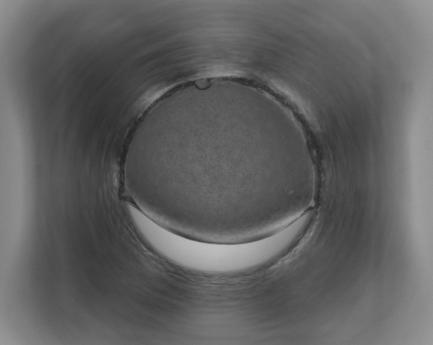 X0000111161169200907071123