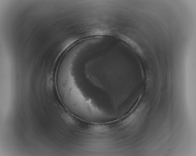 X0000111161170200907071123