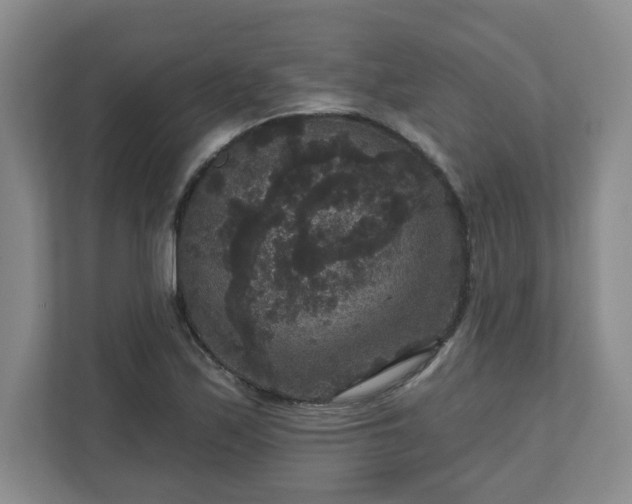X0000111161171200907071123