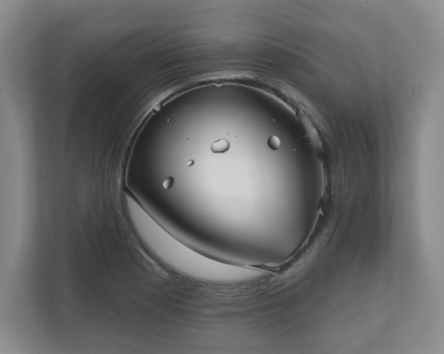 X0000111161177200907071123