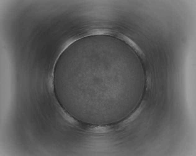 X0000111161178200907071123