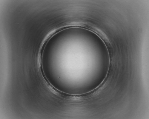 X0000111161180200907071123
