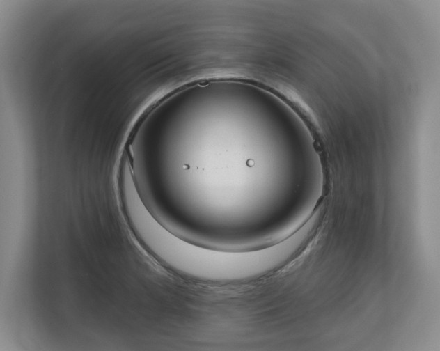 X0000111161181200907071123