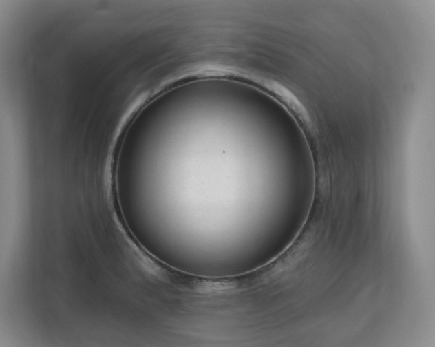 X0000111161183200907071123
