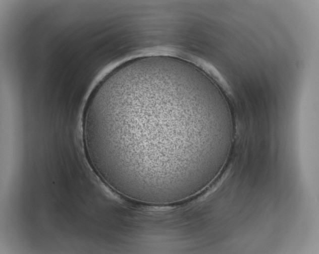 X0000111161184200907071123