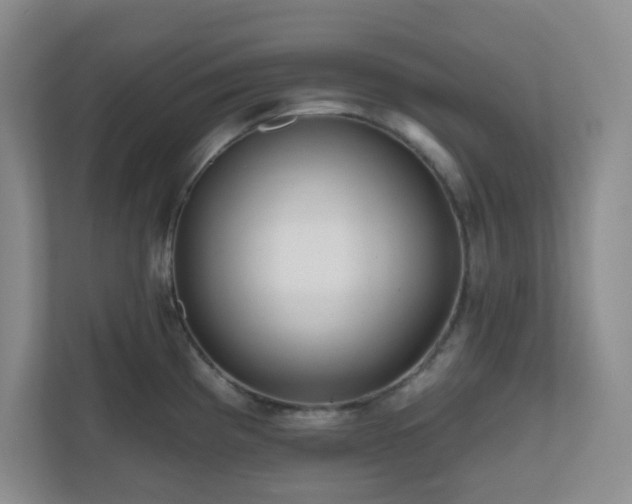X0000111161193200907071123