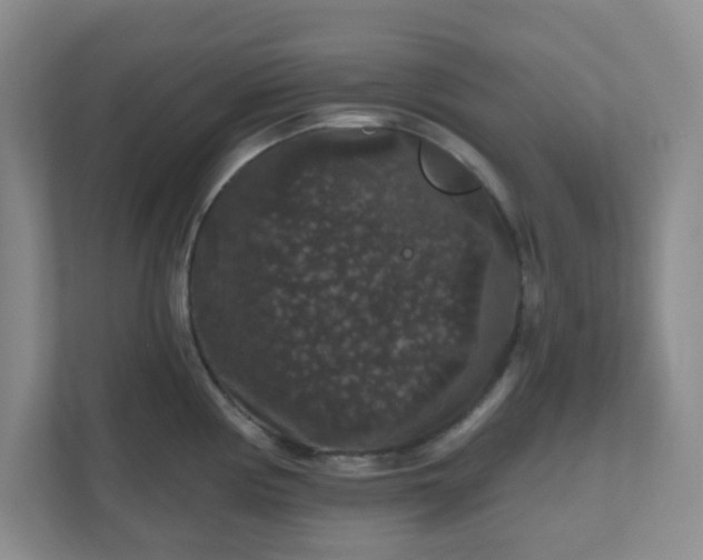 X0000111161194200907071123