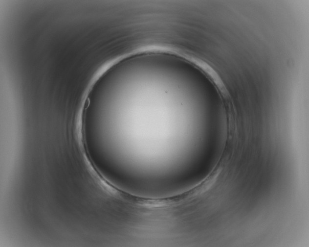 X0000111161199200907071123