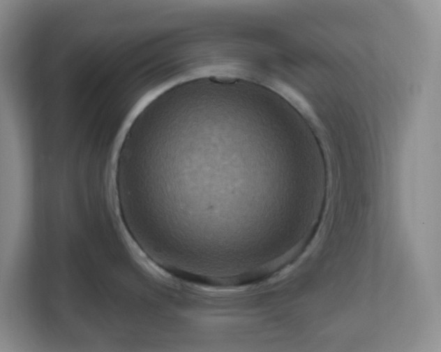 X0000111161200200907071123