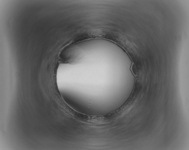 X0000111161201200907071122
