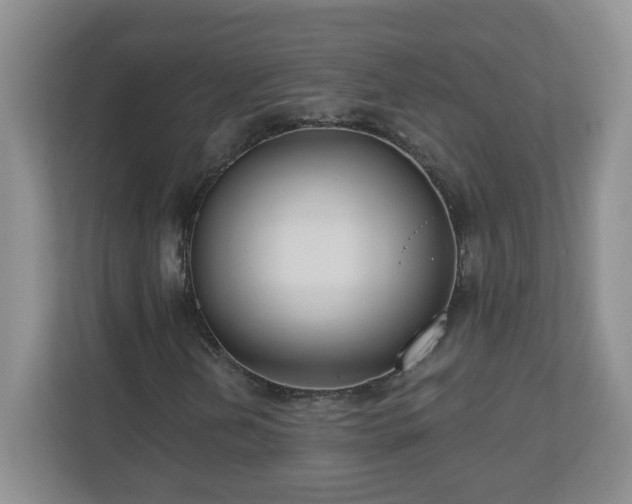 X0000111161202200907071122