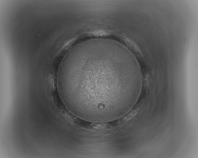 X0000111161205200907071122