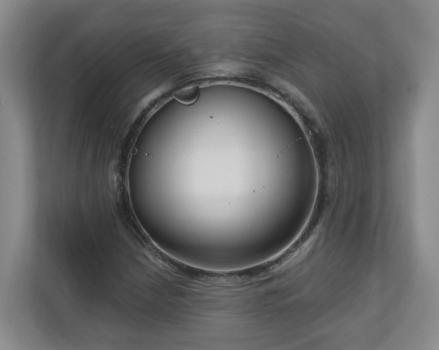 X0000111161210200907071122