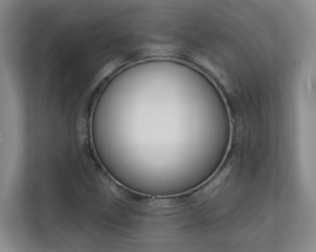 X0000111161211200907071122