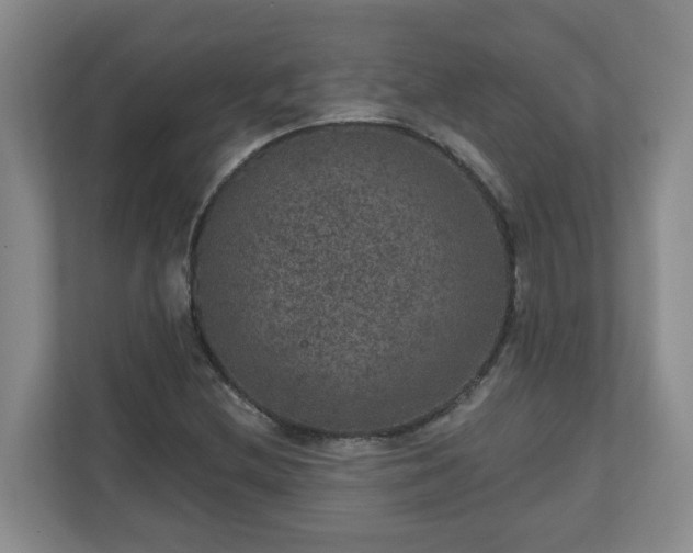 X0000111161212200907071122