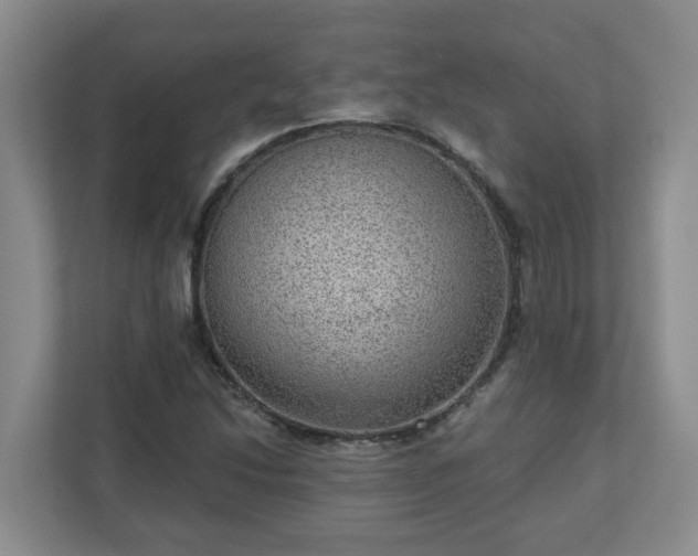 X0000111161214200907071122