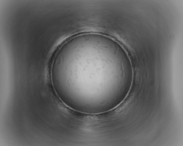 X0000111161215200907071122