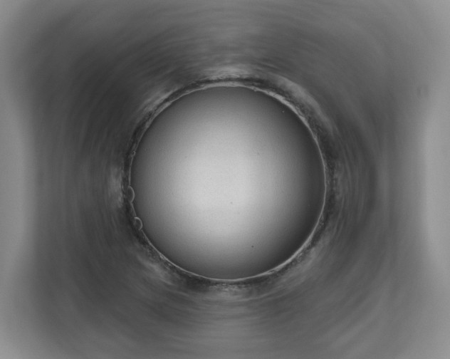 X0000111161217200907071122