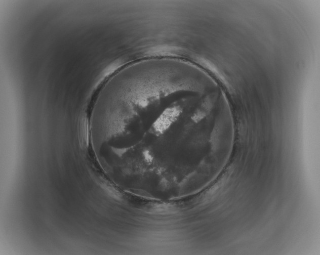 X0000111161219200907071122