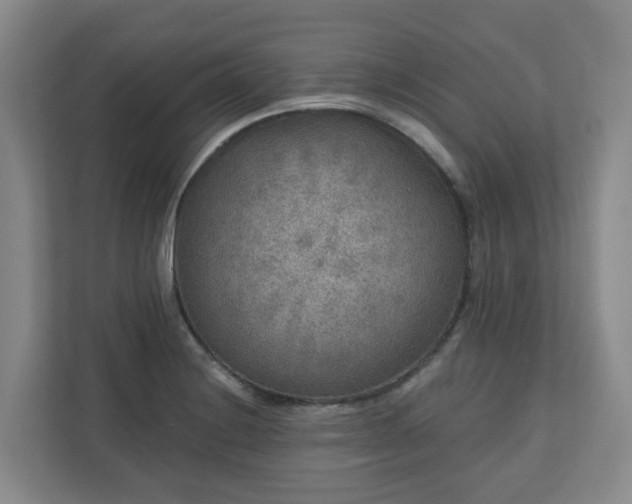 X0000111161228200907071122