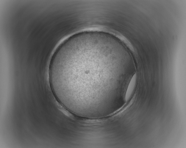 X0000111161232200907071122