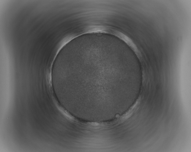 X0000111161234200907071122