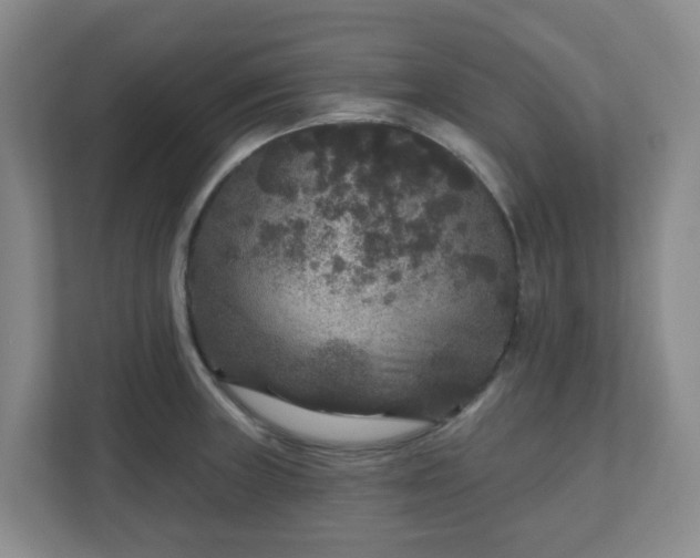 X0000111161235200907071122