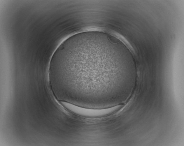 X0000111161236200907071122