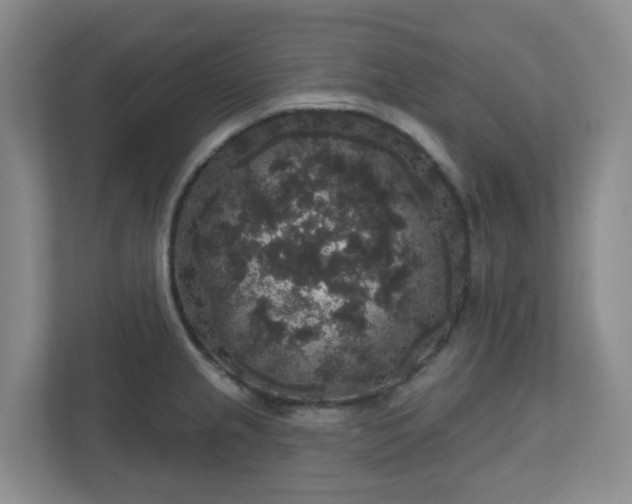 X0000111161237200907071122