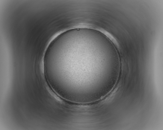 X0000111161238200907071122