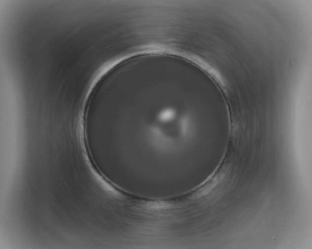X0000111161239200907071122